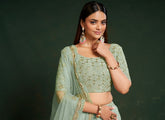 Pista Colour Lehenga Choli Looking Chic